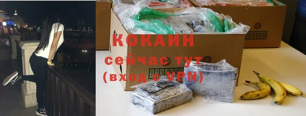 гашик Нея