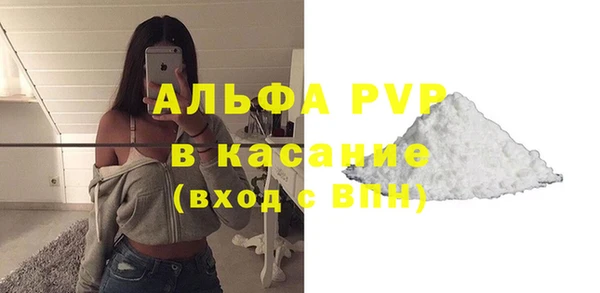 гашик Нея