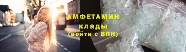 шишки Дмитровск