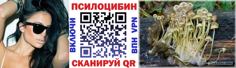 Галлюциногенные грибы MAGIC MUSHROOMS  hydra ССЫЛКА  мориарти как зайти  как найти закладки  Касимов 