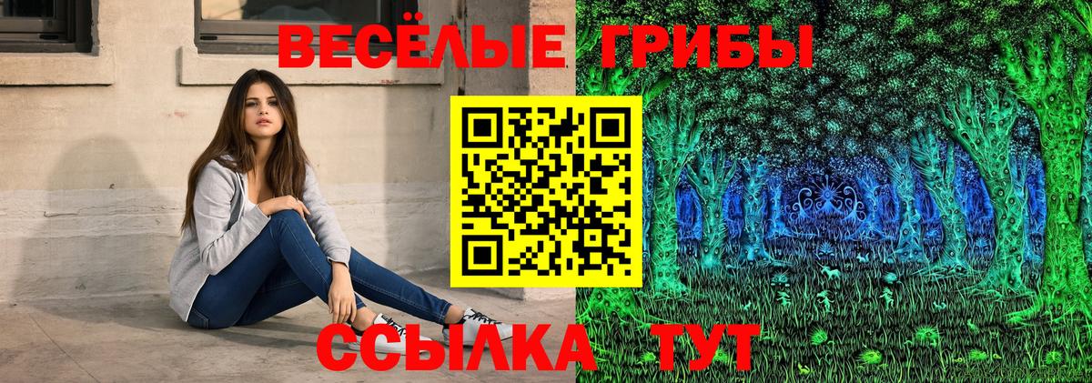Псилоцибиновые грибы мицелий  Вход с VPN  Касимов 