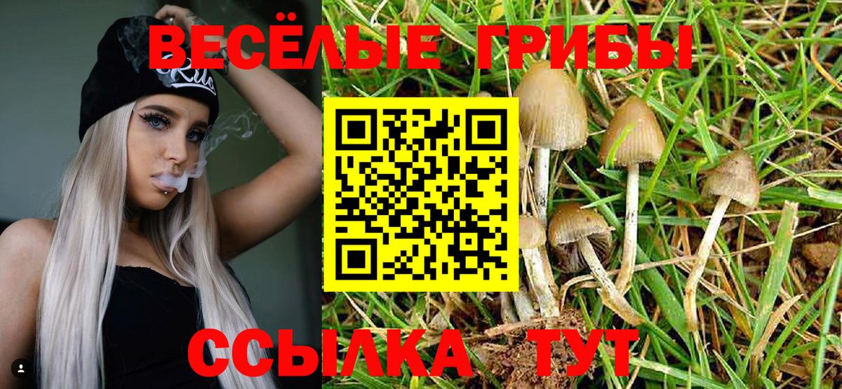 Галлюциногенные грибы мухоморы Касимов