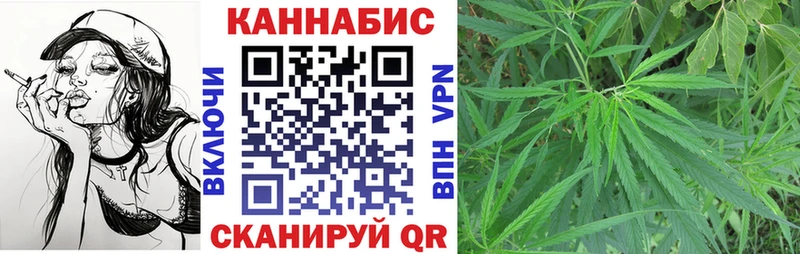 Бошки марихуана THC 21%  продажа наркотиков  Касимов 